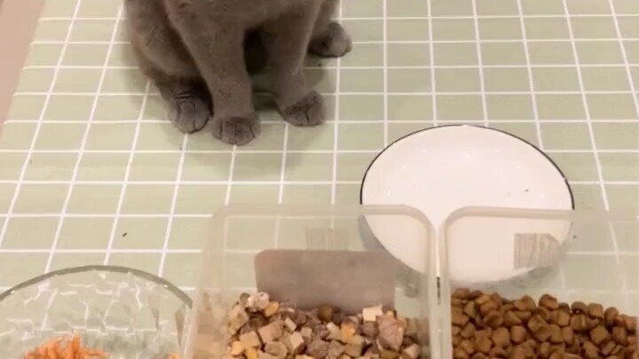 Cat: Is your Parkinson’s acting up?