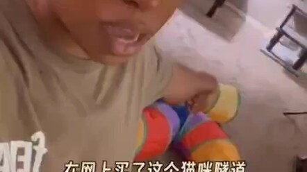 当猫猫遇到一个非常喜欢的玩具时