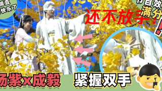 杨紫吃醋！教训起来成毅，两人死死不放手，确定不是入戏太深？