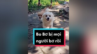 Chẳng ai nhớ bố con tớ rồi huhu. cunyeucuadua chó chócon chókhôn chócute