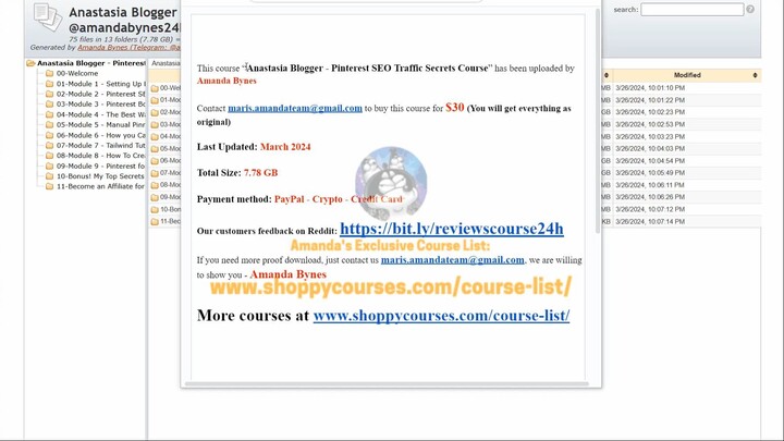 Anastasia Blogger - Pinterest SEO Traffic Secrets Course download