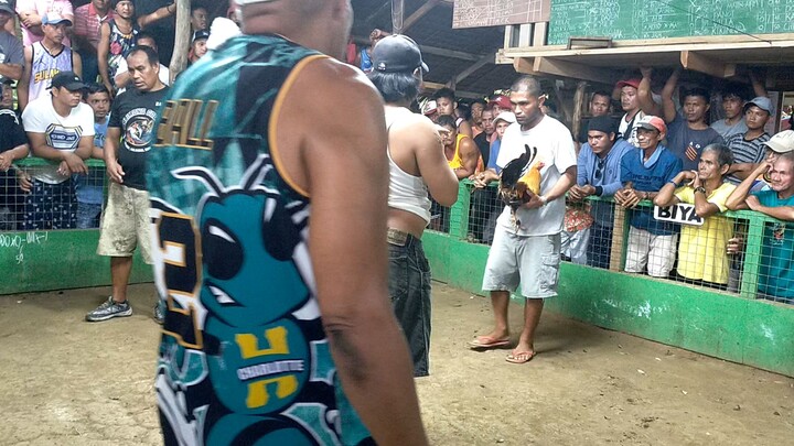 1st fight. champion 2 hits