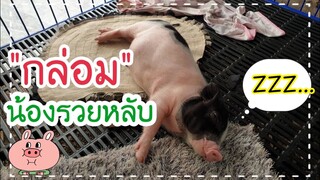 มากล่อมน้องรวยหลับ😴🐖🐷🥰💤