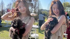 (G)I-DLE 230310 ซูฮวาในรายการ "Hello! Furry Kids》เล่นกับเด็กขนยาว + รูปภาพในช่วงหยุดทำงาน