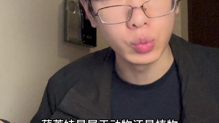 “Outrageous Answers on History Exams” #History #Students #Funny #Way Too Real