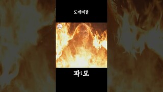 🔥도깨비불🔥