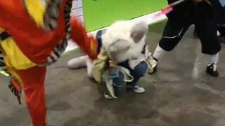 Two coser kicked and beat each other at the Nanning Comic Con, causing Maomao's body to be injured a