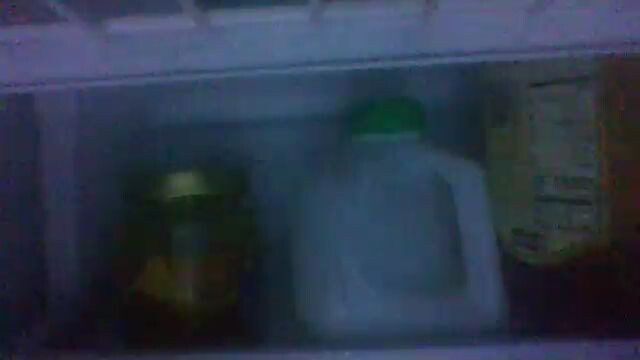 fridge from ohio 2