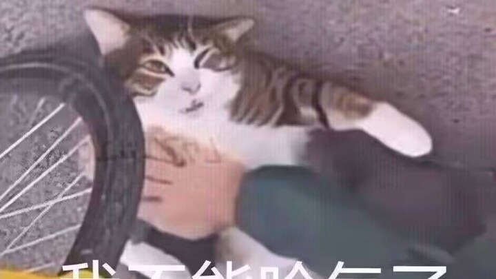 Hakimi sepertinya sudah mencapai 1,4🐱