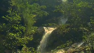 #nature