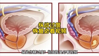 Video nhất định phải xem để phục hồi sau khi cai sắc do thưởng thức quá độ