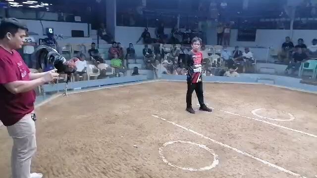 #last fight champion 7 stag derby warm up... last fight