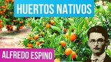 HUERTOS NATIVOS ALFREDO ESPINO 🌿🌱 | Poema Huertos Nativos de Alfredo Espino 💚🎋 | Valentina Zoe