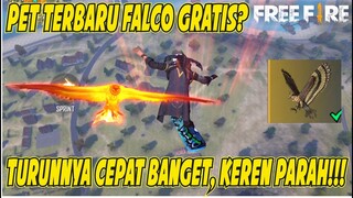PET FALCO KEREN BANGET!! TURUNNYA TAMBAH CEPAT!! MUSUH AUTO KETINGGALAN!!