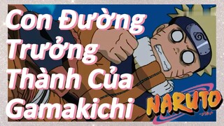 Con Đường Trưởng Thành Của Gamakichi