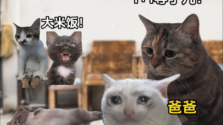 The Motherly Love of the Big Three Cylinders