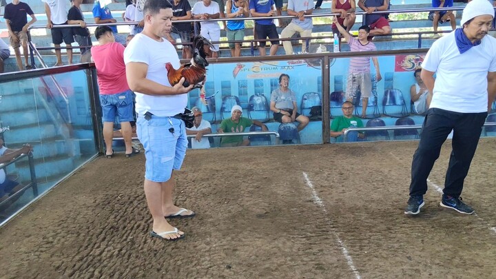 MARCH 22, 2026 2 COCK ULUTAN 1ST FIGHT WIN