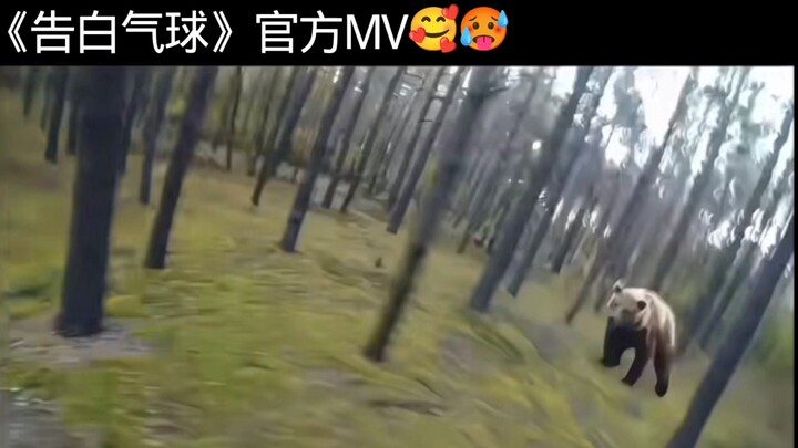 มิวสิกวิดีโออย่างเป็นทางการของ “ลูกโป่งบอกรัก” ออกอากาศแบบสุดปัง