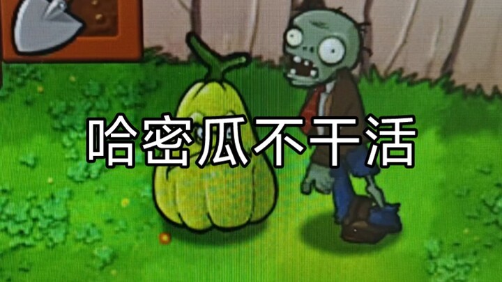 What treasure is this?