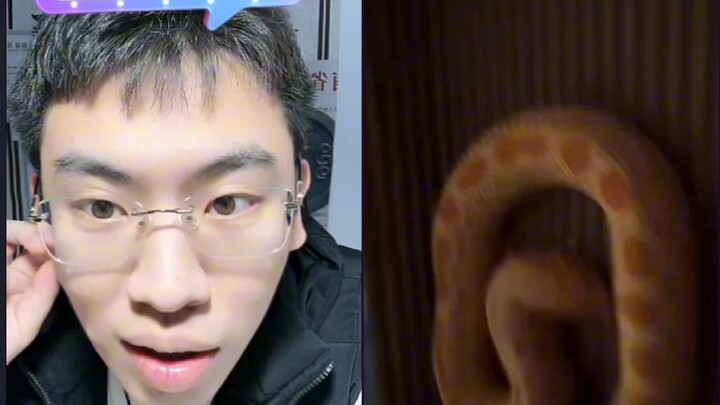 ผมไม่ค่อยรู้จักสัตว์เลี้ยงของพี่จิงเท่าไหร่ รู้จักแค่หมูลาบราดอร์ตัวสุดท้าย ใครที่รู้เรื่องช่วยอธิบา