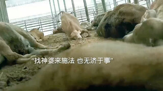 即使自己变成恶魔，也要保护好妹妹 #悬疑 #歌