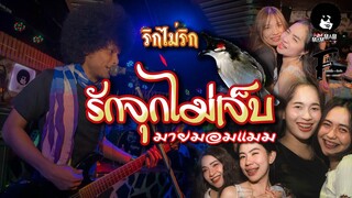 ริกไม่ริก(รักจุกไม่เจ็บ)-มายมอมแมม(เมฆ พันธุ์ใต้ต้นฉบับ)