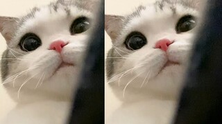 When you gaze into the abyss, the abyss also gazes back at you...