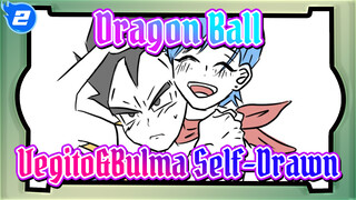 Dragon Ball|[Self-Drawn]Vegito&Bulma：The story you never know_2