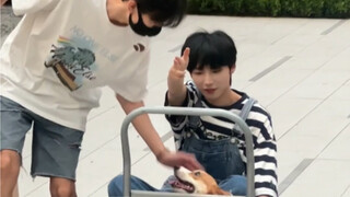 يا أهل البيت، من يفهم؟ كيف يكون شعورك عندما يكون لديك كلبان لطيفان ودودان