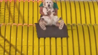 What an exciting game! So much fun!