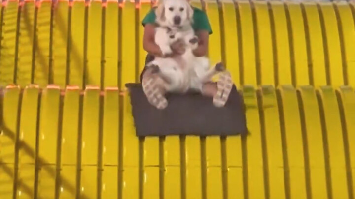 يا له من لعبة مثيرة جدًا، ممتعة حقًا!