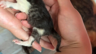 السماء انهارت