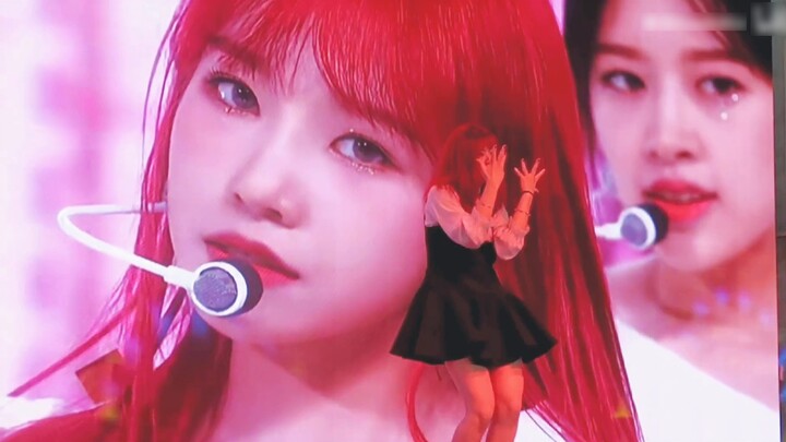 [Xiao Min] Pendek 3 penggemar debut solo pertama | Cobalah untuk membuat dongeng fantasi tidak lagi 