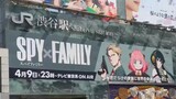 สถานะปัจจุบันของ "SPY×FAMILY" ในญี่ปุ่น