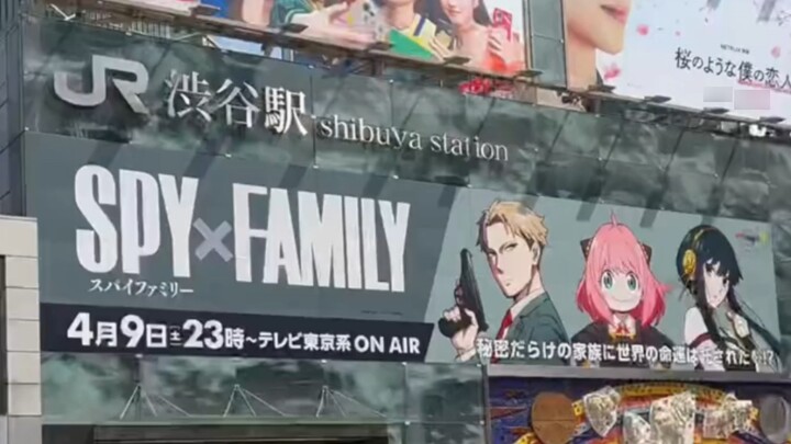 Current status of "SPY×FAMILY" in Japan