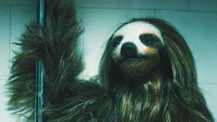 The cute sloth turns into a murderer! Trailer for the 2023 horror comedy "The Killer Sloth"