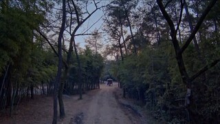 & 01-08 •7ช.า.ด-ภ-พ•