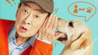 k-drama dog knows everything ep 7 sub ido