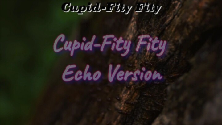 Cupid By:Fity Fity Echo Version •JarredGacha35•