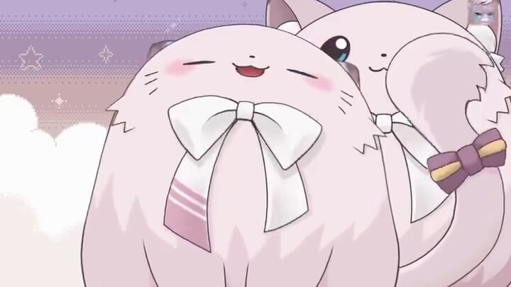 【มิซึกิ ยูโกะ】ประธานแมวที่สามารถ RUA แบบสบายๆ~