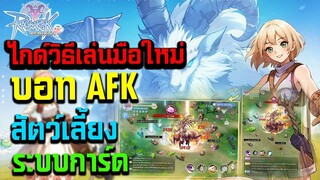 Ragnarok : Rebirth ไกด์วิธีเล่นมือใหม่ บอทAFK ระบบสัตว์เลี้ยง ระบบการ์ด