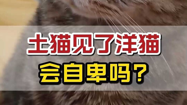 บรรพบุรุษคัดสรรมาอย่างพิถีพิถัน จะแย่ได้ขนาดไหนกันนะ?