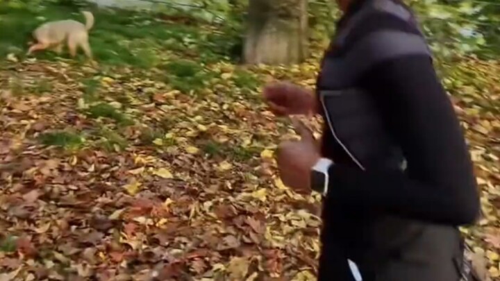 路人在努力试图理解