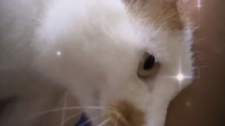 Anh trai thật quan tâm em mà~