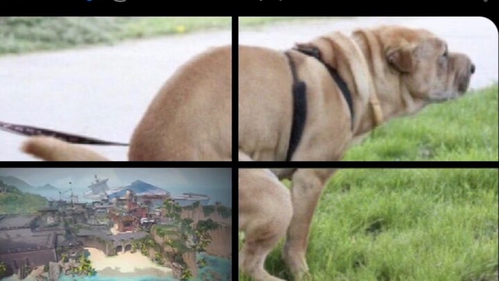 สัญญาไร้ความกลัว 3