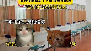 Apakah keadilan yang tertunda masih merupakan keadilan?