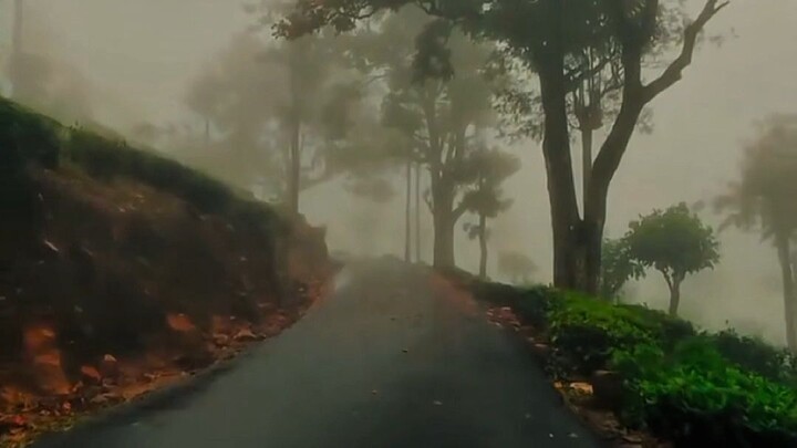 আপনি হাসলে ও কবরে যেতে হবে। কাঁদলেও যেতে হবে