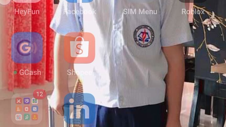 *new *  i got 100 pets on this game