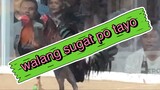 paburito kung chatch (win) naglakad ang kalaban wala nang buhay."