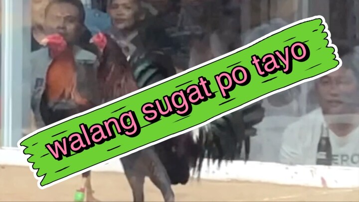 paburito kung chatch (win) naglakad ang kalaban wala nang buhay."